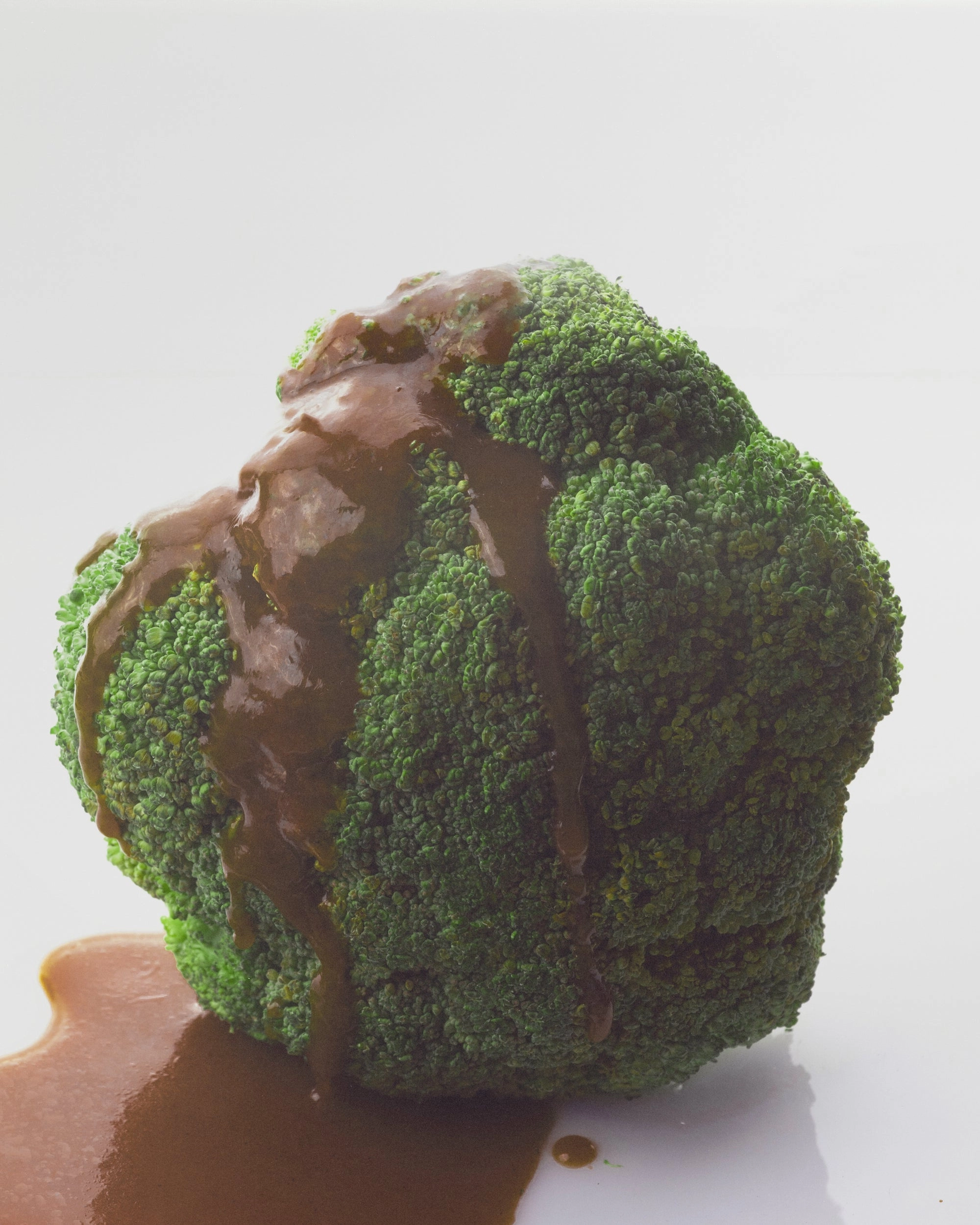 Broccoli head coated in a glossy brown stir fry sauce